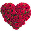 Flowers to Hyderabad : Send Flowers to Hyderabad