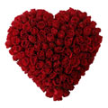 Flowers to Hyderabad : Send Flowers to Hyderabad