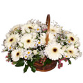 Flowers to Hyderabad