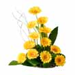 Flowers to Hyderabad