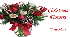 Christmas Flowers to Hyderabad