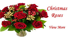 Send Christmas Gifts to Hyderabad