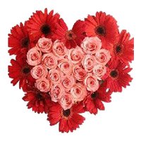 Send Online New Year Flowers to Hyderabad send to 24 Pink Roses Flowers to Hyderabad and 10 Red Gerbera Heart