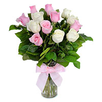 Best Diwali Flowers to Hyderabad of Pink White Roses in Vase 24 Flowers in Hyderabad