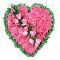 Valentine Flowers to Vijayawada : Pink Roses Heart 75 Flowers in Hyderabad
