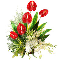 Same Day Flowers Delivery in Hyderabad