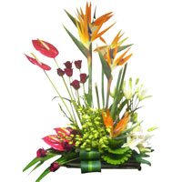 Send Online Flowers to Hyderabad