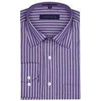 Christmas Gifts Delivery in Hyderabad that includes ACROPOLIS MENS FORMAL SHIRT ST001