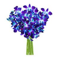 Send Flowers to Hyderabad : Blue Orchids