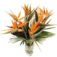 Send Online Flowers to Hyderabad