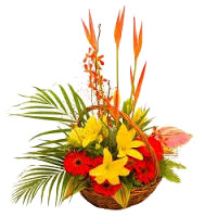 Online Delivery of Flowers to Hyderabad