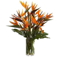 Online Flowers Delivery in Hyderabad