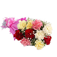 Carnations to Hyderabad