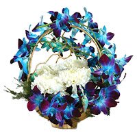 Flowers to Hyderabad incorporate with 10 Blue Orchids 10 White Carnation Flower Basket