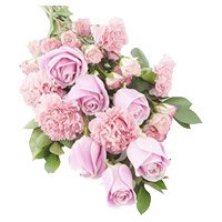 Best Diwali Flower Delivery in Hyderabad including Pink Rose Carnation Bouquet 12 Flowers to Hyderabad