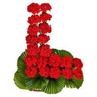 Deliver Valentine's Day Flowers in Hyderabad consisting Red Carnation Basket 24 Flowers to Secunderabad