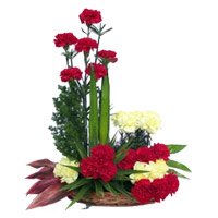 Deliver Valentine's Day Flowers in Vijayawada consisting Red Yellow Carnation Basket 24 Flowers to Hyderabad