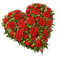 New Year Flowers in Tirupati consisting 50 Red Carnation Heart Arrangement