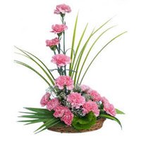 Same Day Valentine's Day Flowers to Hyderabad. 15 Pink Carnation Arrangement