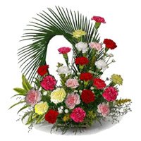 Valentine's Day Flower Delivery in Hyderabad delivers Mixed Carnation Arrangement 24 Flowers to Secunderabad