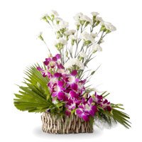 Valentine's Day Flowers Delivery in Hyderabad comprising 10 Orchid 15 White Carnation Flower Basket