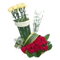 Deliver Valentine's Day Flowers in Rajahmundry consisting Red Yellow Carnation Basket 20 Flowers to Hyderabad