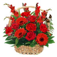 Best Valentine's Day Flowers to Hyderabad containing Red Rose, Carnation, Glad Basket 15 Flowers to Secunderabad