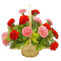 Send Flowers to Hyderabad. Red Pink Carnation Basket 15 Flowers to Vishakhapatnam