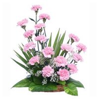 Valentine's Day Flowers to Hyderabad including Pink Carnation Basket 18 Flowers to Tirupati