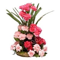 Best Valentine's Day Flowers to Hyderabad contains Pink Carnation Basket 24 Flowers to Vijayawada