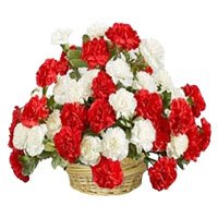 Order Online Valentine's Day Flowers to Hyderabad that contains Red and White Carnation Basket 36 Flowers to Vishakhapatnam