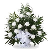 Same Day Valentine's Day Flowers to Hyderabad including White Carnation Basket 18 Flowers in Hyderabad