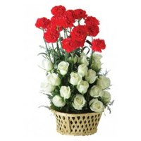Valentine's Day Flowers in Rajahmundry including Red Carnation White Rose Basket 24 Flowers to Hyderabad