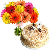 Order Friendship Day Cake for 1 Kg Butter Scotch Cake 12 Mix Gerbera Flowers Bouquet Delivery in Hyderabad