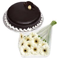 Diwali Cakes to Hyderabad to send 12 White Gerbera 1 Kg Chocolate Truffle Cake