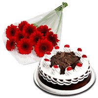 Deliver Friendship Flowers with 12 Red Gerbera with 1/2 Kg Black Forest Cake to Hyderabad
