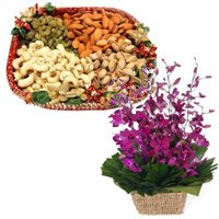 Same Day Valentine's Day Flowers to Vishakhapatnam comprising 10 Purple Orchids Basket 1/2 Kg Assorted Dry Fruits to Hyderabad
