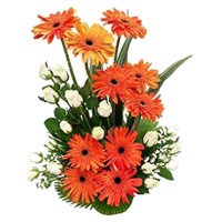 Valentine's Day Flowers in Secunderabad containing Orange Gerbera White Rose Basket 24 Flowers to Hyderabad