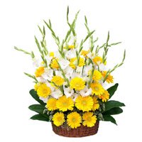Valentine's Day Flowers to Tirupati involves Yellow Gerbera White Glad Basket 30 Flowers in Hyderabad