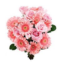Buy Diwali Flowers Online 18 Pink Gerbera Roses Bouquet Flowers to Hyderabad