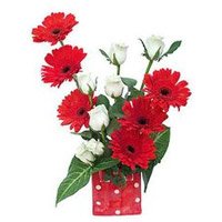 Same Day Valentine's Day Flowers to Hyderabad consisting Red Gerbera White Roses Basket 12 Flowers to Secunderabad