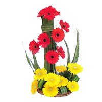 Same Day Valentine's Day Flowers to Hyderabad consisting Yellow Red Gerbera Basket 18 Flowers to Tirupati