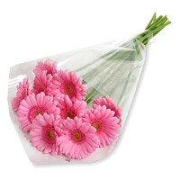 Deliver Diwali Flowers consist of Pink Gerbera Bouquet 12 Flowers in Hyderabad