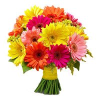 Send Diwali Flowers Online including 24 Mixed Gerbera Hyderabad Flowers Bouquet