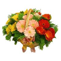Valentine's Day Flowers Delivery in Hyderabad delivers Mixed Gerbera Basket 24 Flowers to Karimnagar