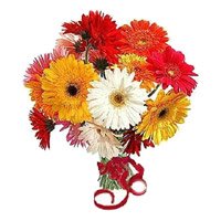 Send online Mixed Gerbera Bouquet 12 Flowers Hyderabad for Friendship Day