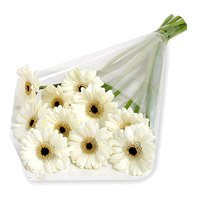Send White Gerbera Bouquet 12 Flowers to Hyderabad. Online Diwali Flowers to Hyderabad