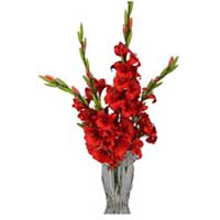 Online Delivery of Flowers to Hyderabad
