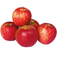 Send 1 Kg Fresh Apple to Hyderabad. Gifts in Vijayawada