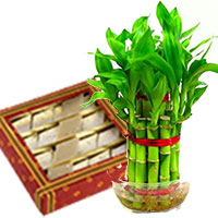 Online Gifts to Hyderabad